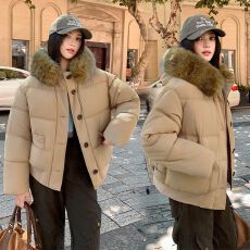 批发实拍新款女式短款棉服大毛领加厚高级感小个子韩版外套款