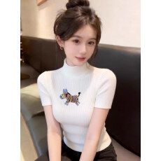 批发韩系白色刺绣半高领针织衫女2026早<b class='q'>春</b>新款修身内搭打底衫短袖上衣
