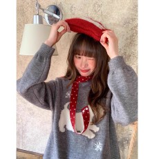 批发2025新款小狗提花刺绣套头毛衣女秋季韩系小众宽松套头针织上衣