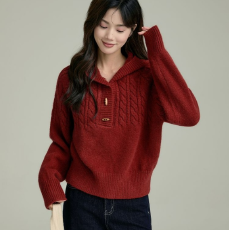 出大货 高级感连帽套头毛衣外套女2026年春季穿搭气质上衣