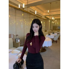 批发12/11 20:00 THE SWAN司凰 张元英私服 内搭打底多色针织上衣