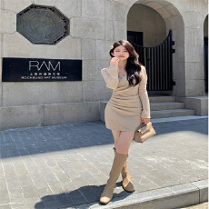 批发米色<b class='q'>职业</b><b class='q'>连衣裙</b>女秋时尚名媛气质高端假两件圆领工作服洋气千金风