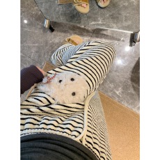 批发大码慵懒风条纹休闲<b class='q'>裤</b>女秋季高腰垂感直筒<b class='q'>裤</b>胖MM遮肉显瘦阔腿<b class='q'>裤</b>子