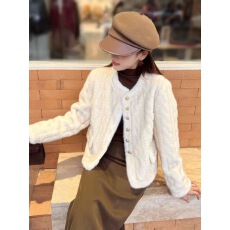 批发洋气皮草外套女<b class='q'>秋</b>冬款显瘦短款时尚保暖水貂毛毛绒貂皮2025年新款