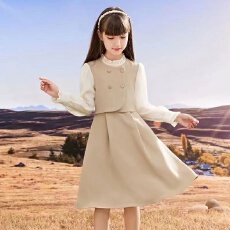 批发女童连衣裙秋装<b class='q'>韩版</b>2025新款秋冬儿童女孩童装洋气假两件公主裙子