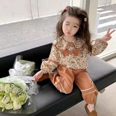 批发女小童秋季森系套装新款洋气<b class='q'>衬衫</b>长裤女宝宝甜美可爱两件套时髦