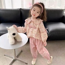 批发女童套装秋季2025新款洋气时髦宝宝韩版休闲网红<b class='q'>儿童</b><b class='q'>衬衫</b>长裤套装
