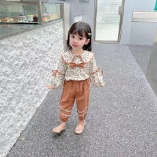 批发女童秋装2025新款套装洋气时髦女<b class='q'>宝宝</b>甜美可爱童装长裤<b class='q'>衬衫</b>两件套