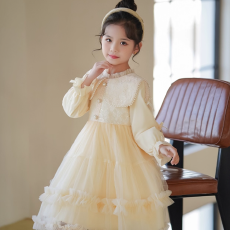 批发千金风<b class='q'>女童</b>连<b class='q'>衣裙</b>2025秋冬高级感蓬蓬蛋糕裙周岁生日<b class='q'>礼服</b>裙女孩潮