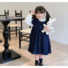 批发女童<b class='q'>秋装</b><b class='q'>连衣裙</b>2026新款春秋季女宝宝长袖公主裙洋气裙子两件套潮