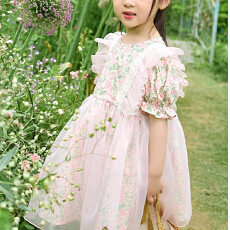批发<b class='q'>女童</b>碎花<b class='q'>连衣</b><b class='q'>裙</b>2026夏季新款洋气儿童公主<b class='q'>裙</b>女孩高端礼服网纱<b class='q'>裙</b>子