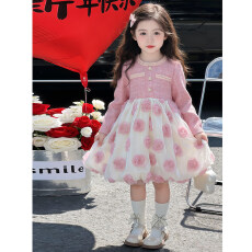 批发<b class='q'>女童</b>秋<b class='q'>款</b>长袖时髦小香风玫瑰花连衣<b class='q'>裙</b>公主<b class='q'>裙</b><b class='q'>礼服</b>拼接洋气新款<b class='q'>裙</b>子