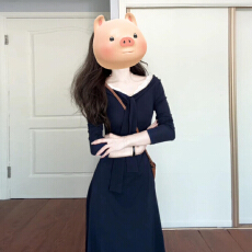 批发法式<b class='q'>长</b>袖连衣<b class='q'>裙子</b>女早秋2025新款气质高级感收腰显瘦<b class='q'>长</b><b class='q'>裙</b>初秋穿搭