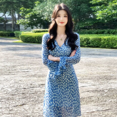 批发法式气质蓝色v领收腰<b class='q'>长</b>袖碎花连衣<b class='q'>裙子</b>女早秋季2025新款度假穿搭