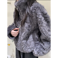 批发2025<b class='q'>秋</b>冬新款小湖羊皮毛一体立领拉链环保水貂毛毛时尚毛毛外套女