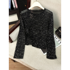 批发<b class='q'>女</b>士春秋季新款圆领时尚休闲优雅网眼透视烫银透视长袖<b class='q'>T</b><b class='q'>恤</b>