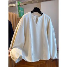 批发德绒特<b class='q'>大码</b>300斤韩版百搭卫衣女秋冬新款2026爆款宽松磨毛上衣