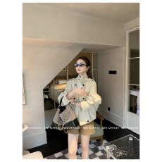 批发2026年春秋季新款小个子立领<b class='q'>皮衣</b>女装新款显瘦高级感廓形风衣外套