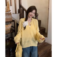 批发美镂空针织开衫毛衣女秋宽松软糯韩系小个子上衣