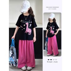 批发<b class='q'>女</b>童<b class='q'>夏</b>装<b class='q'>短袖</b>T恤山本裤两件套2026新款<b class='q'>女</b>大童洋气宽松休闲套装潮