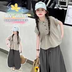 批发<b class='q'>女</b><b class='q'>童</b><b class='q'>夏季</b><b class='q'>短袖</b><b class='q'>套装</b>儿<b class='q'>童</b>水洗棉衬衫<b class='q'>女</b>孩<b class='q'>大</b><b class='q'>童</b>宽松阔腿裤<b class='q'>夏</b>装韩系穿搭