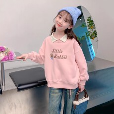 批发<b class='q'>女</b><b class='q'>童</b><b class='q'>卫衣</b>春秋款2026新款洋气儿童秋装小女孩秋季宽松POLO领上衣潮