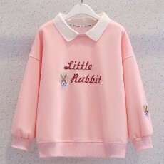 批发<b class='q'>女</b><b class='q'>童</b><b class='q'>卫衣</b>春秋款2026新款洋气儿童秋装小女孩秋季宽松POLO领上衣潮