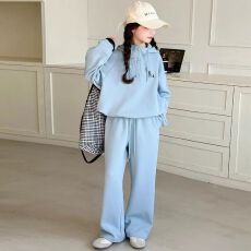 批发<b class='q'>女</b><b class='q'>童</b>套装春秋洋气卫衣新款2026儿童女孩休闲连帽运动两件套