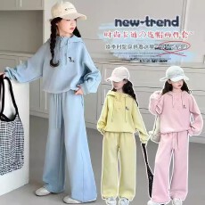 批发<b class='q'>女</b><b class='q'>童</b>套装春秋洋气卫衣新款2026儿童女孩休闲连帽运动两件套