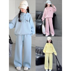 批发女童套装春秋洋气卫衣新款2026<b class='q'>儿童</b>女孩休闲连帽运动两件套