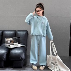 批发女童套装春秋洋气卫衣新款2026<b class='q'>儿童</b>女孩休闲连帽运动两件套
