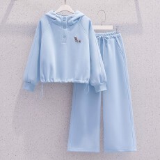 批发女童套装春秋洋气卫衣新款2026<b class='q'>儿童</b>女孩休闲连帽运动两件套