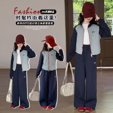 批发<b class='q'>女</b><b class='q'>童</b>秋季套装2026春秋新款立领条纹披肩外套儿童韩版休闲直筒裤潮