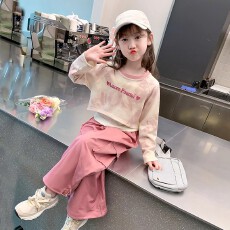 批发<b class='q'>女</b><b class='q'>童</b>秋装2026新款<b class='q'>大</b>童女装洋气12岁女孩春秋运动卫衣套装初中生15