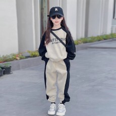 批发<b class='q'>女</b><b class='q'>童</b>运动套装秋装2025新款洋气中大童儿童春秋女孩卫衣卫裤两件套