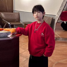 批发儿童加绒加厚连帽红色卫衣2026<b class='q'>新款</b>马年年服爆款<b class='q'>亲子装</b>姐弟装上衣