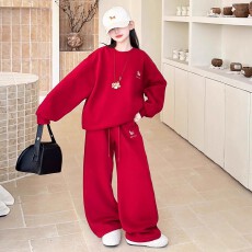 批发2026马年本命年衣服<b class='q'>儿童</b>冬季新款红色加厚<b class='q'>卫衣</b>女孩大童<b class='q'>套装</b>年服