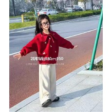 批发<b class='q'>女</b><b class='q'>童</b>加绒加厚刺绣小马儿娃娃领卫衣2025秋冬新款女大童新年上衣