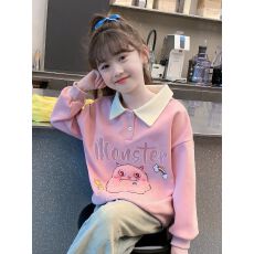 批发<b class='q'>女童</b>卫<b class='q'>衣</b>春秋款2026新款洋气儿童秋装小女孩秋季宽松POLO领上衣潮