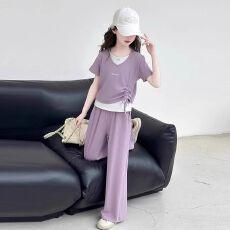 批发<b class='q'>女</b><b class='q'>童</b>夏季套装2026<b class='q'>新款</b>女孩短袖T恤垂感假两件儿童冰丝阔腿裤夏装