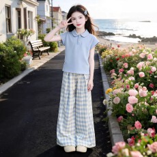 批发珊沫<b class='q'>女</b>童<b class='q'>夏</b>季<b class='q'>休闲</b>套装短袖上衣阔腿裤<b class='q'>两件</b>套韩版蓝色格子裤童装潮