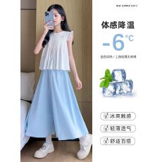 批发女童套装夏季薄款儿童夏装2026<b class='q'>新款</b>女孩裙裤半身裙长裙中大童冰丝