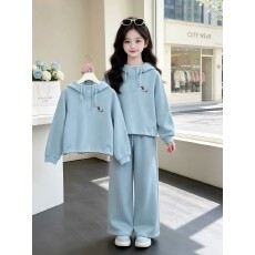 批发<b class='q'>女</b><b class='q'>童</b>套装春秋洋气卫衣新款2026儿童女孩休闲连帽运动两件套