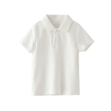 批发<b class='q'>夏季</b>新款洋气POLO短袖 （潮牌高质量100纯棉40支爽滑精梳棉）