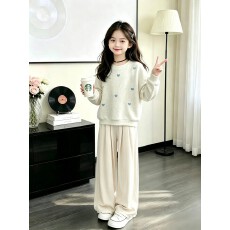 批发韩国女童<b class='q'>时髦</b><b class='q'>套装</b>2026秋超好看时尚上衣裙子两件套华棉复合牛奶丝