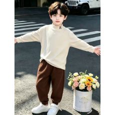 批发左西<b class='q'>童装男童</b>半高领打底衫儿童秋冬2026新款男孩冬季加绒保暖<b class='q'>T</b><b class='q'>恤</b>