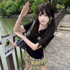 批发2025夏季新款大码POLO领简约短袖<b class='q'>t</b><b class='q'>恤</b>男女同款美式宽松情侣上衣服