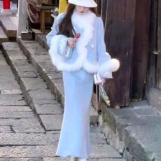 批发冬装搭配一整套新中式国风毛领外套套装裙2025冬季高级感两件套女