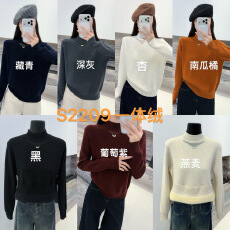 批发秋冬加绒加厚毛衣女2025年新款时尚宽松百搭一体绒保暖针织打底衫