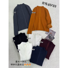 批发秋冬款半高领毛衣一体绒打底衫长袖女设计感洋气内搭紧身针织衫女